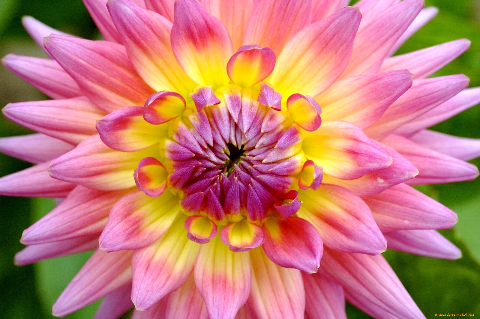 , , , , 